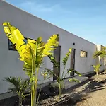 Coco's House